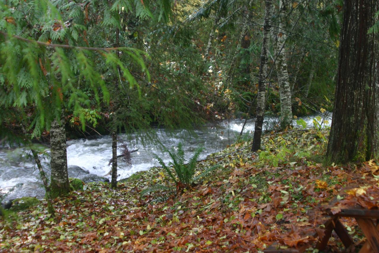 Copper Creek Inn Ashford Eksteriør bilde